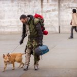 Best cities for pet-friendly travel