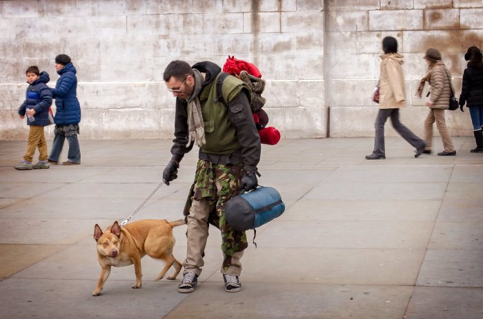 Best cities for pet-friendly travel